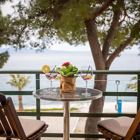Pine And Sunshine Podgora (Split-Dalmatia)